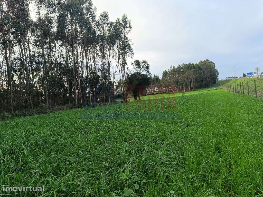 Terreno em Argivai - Póvoa de Varzim - Grande imagem: 4/4