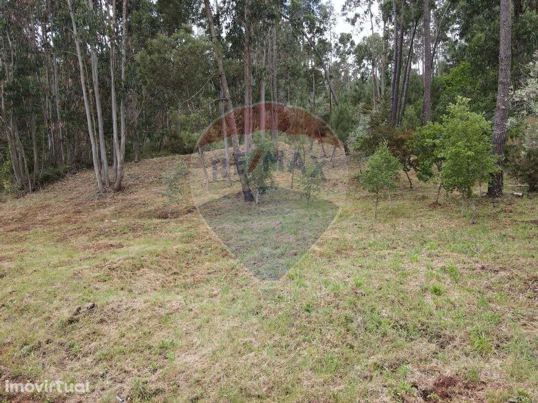 Terreno  para venda - Grande imagem: 5/6