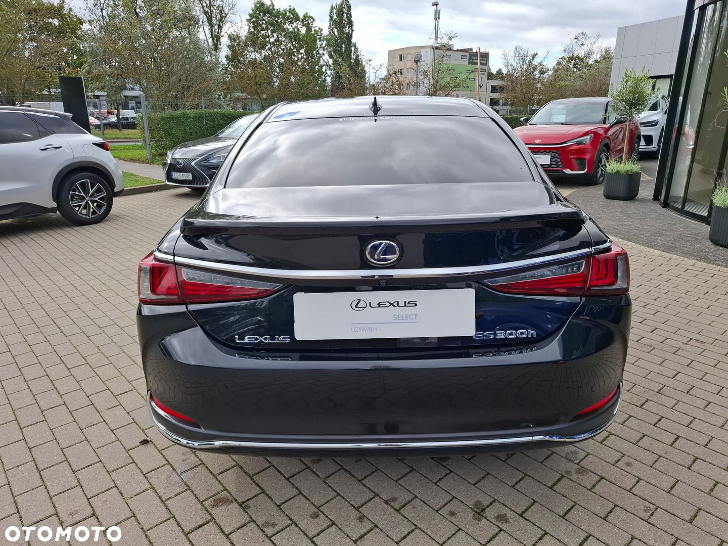 Lexus ES 300h Elegance - 4
