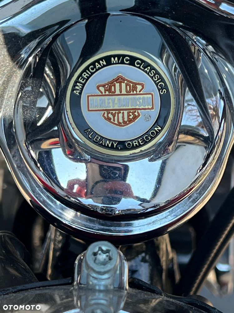 Harley-Davidson Softail - 15