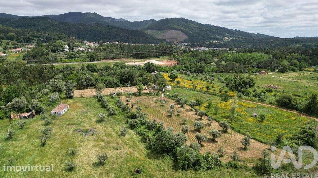 Terreno Agrícola em Espinhal - Grande imagem: 5/24