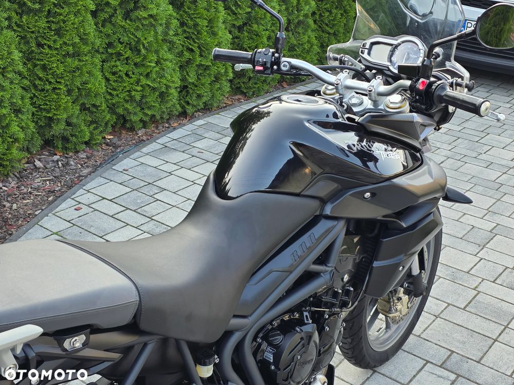 Triumph Tiger - 14