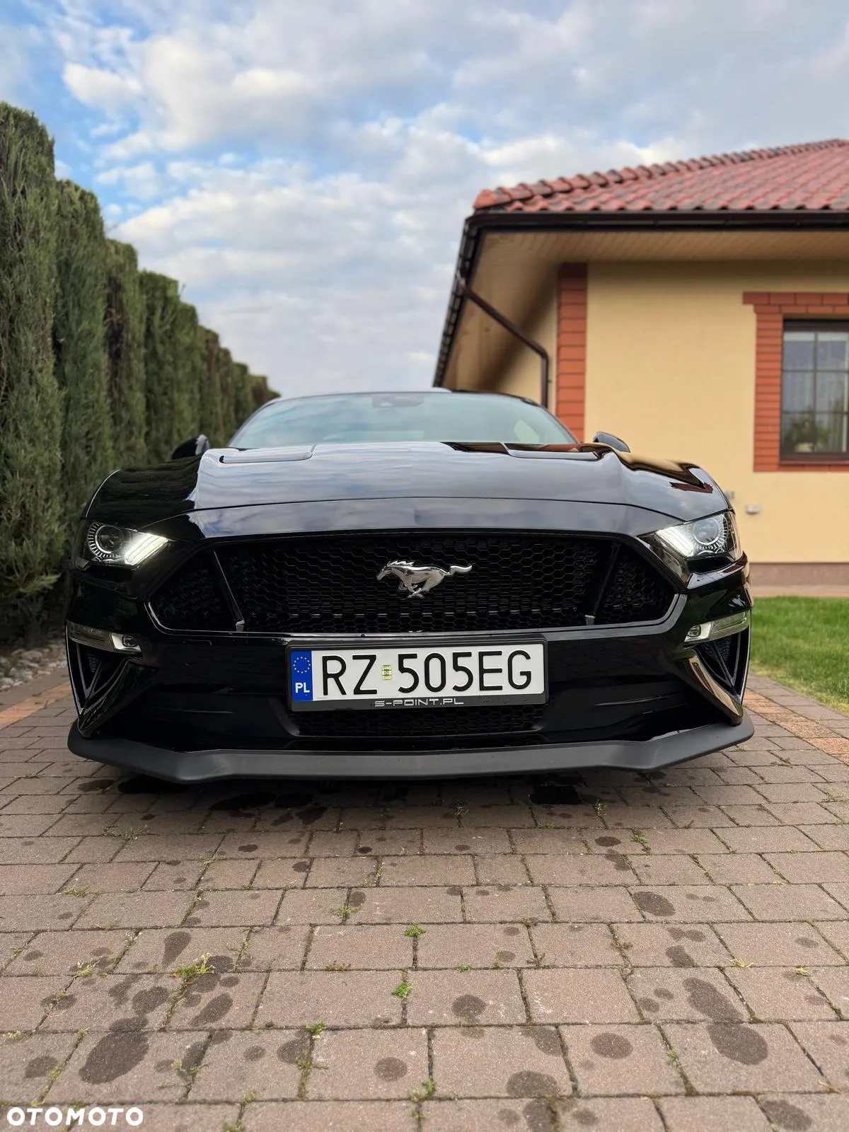 Ford Mustang 5.0 V8 GT - 5