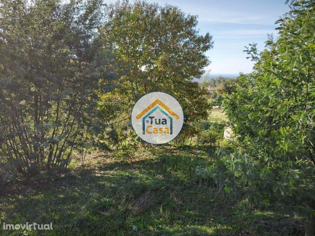Terreno Urbano à Venda em Alviães - Palmaz, Oliveira de Azeméis - Grande imagem: 4/18