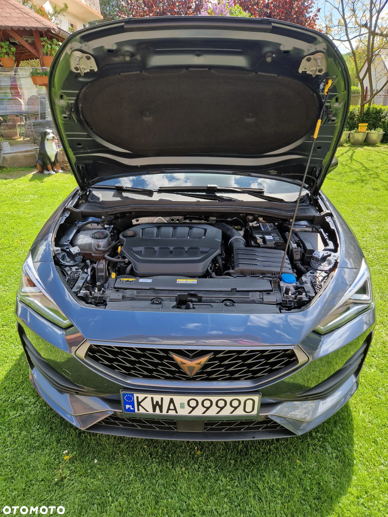 Cupra Leon 2.0 TSI DSG - 32