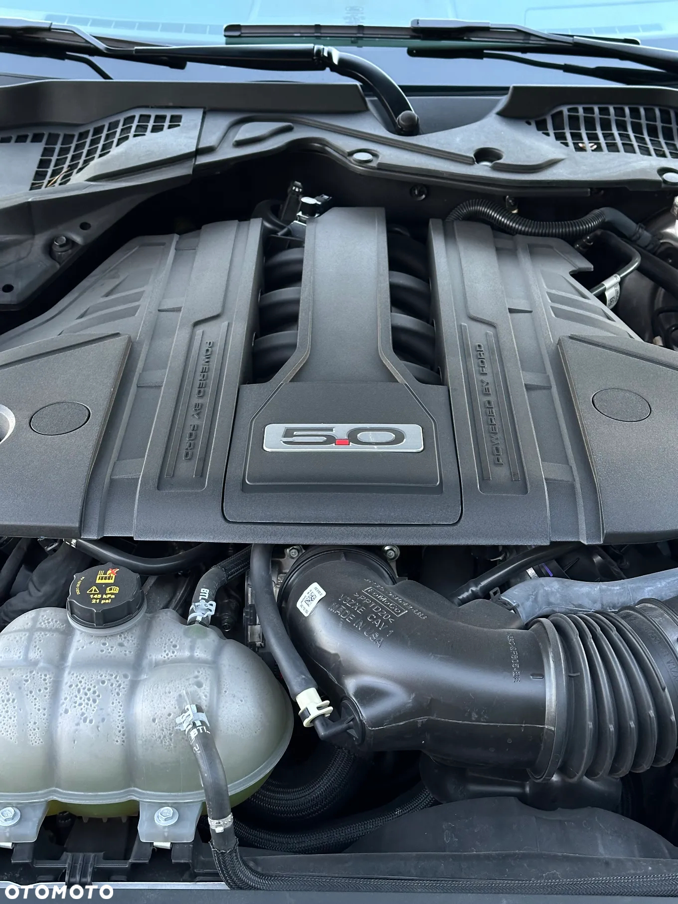 Ford Mustang Fastback 5.0 Ti-VCT V8 Dark Horse - 9