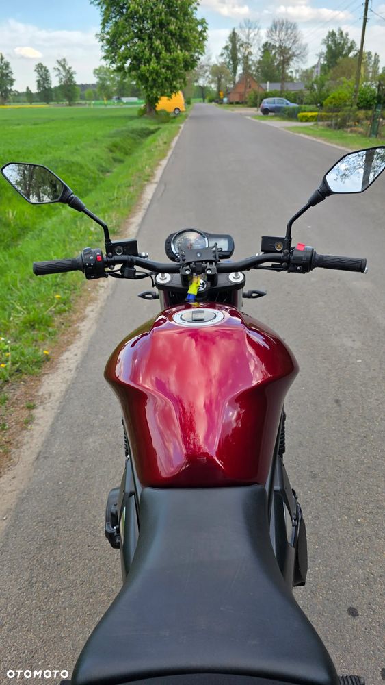 Suzuki Bandit - 19
