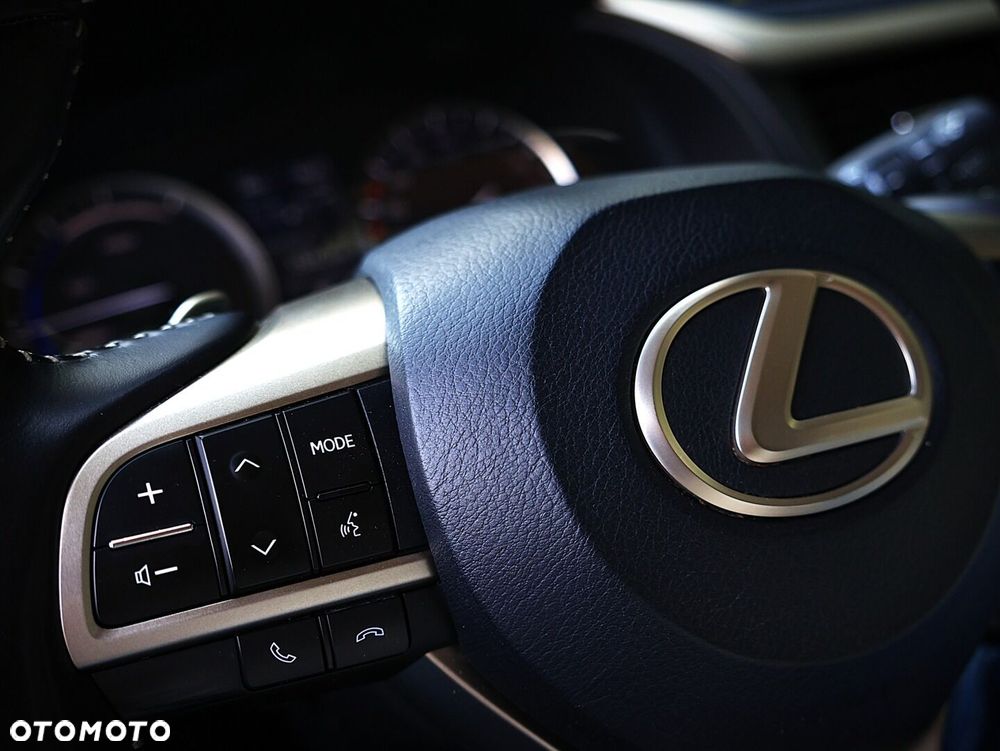 Lexus RX - 28