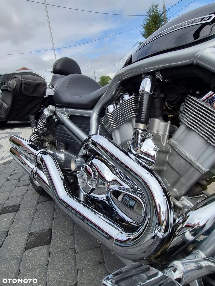 Harley-Davidson V-Rod Street Rod - 15