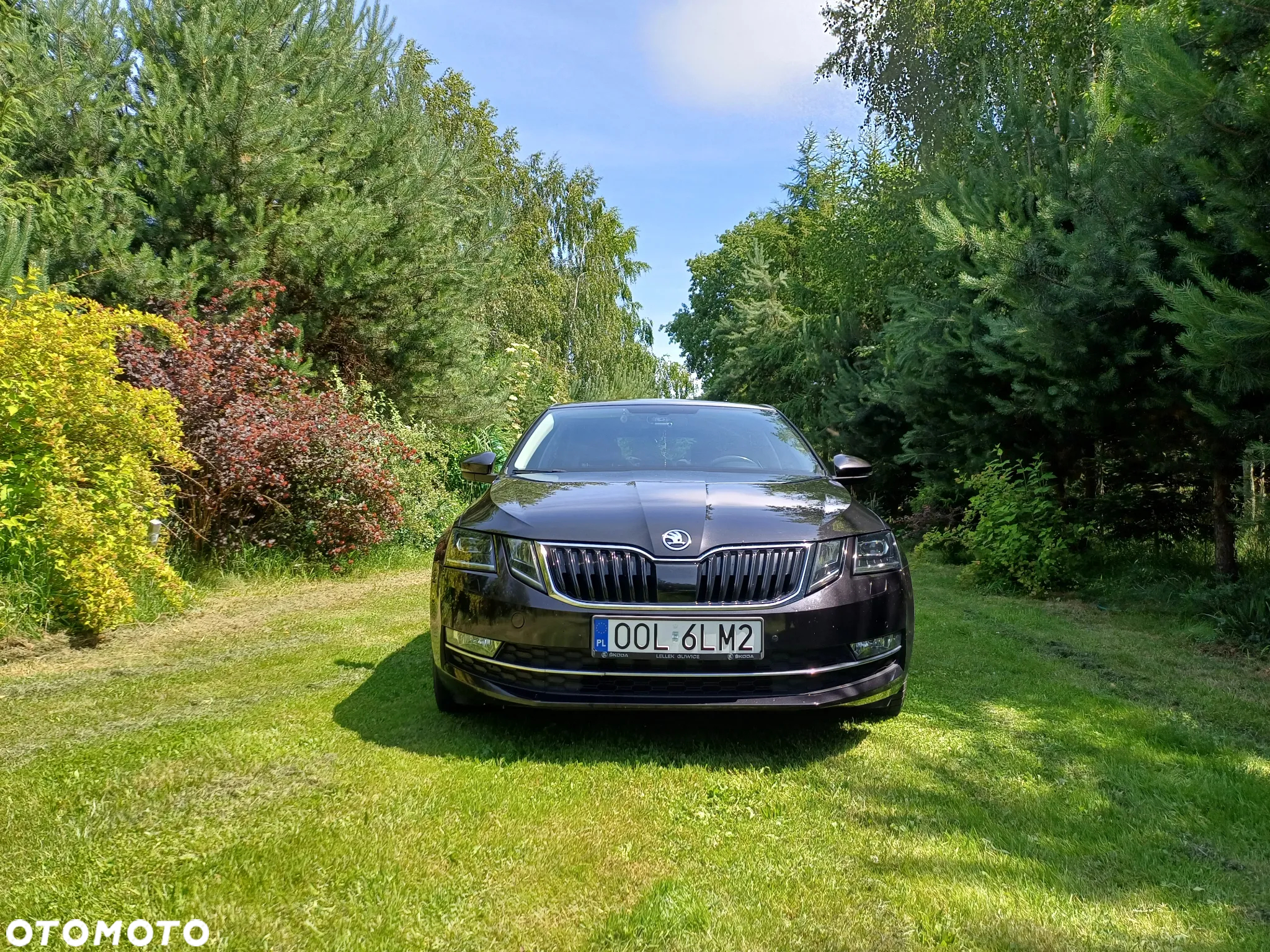 Skoda Octavia 1.6 TDI SCR Style - 3