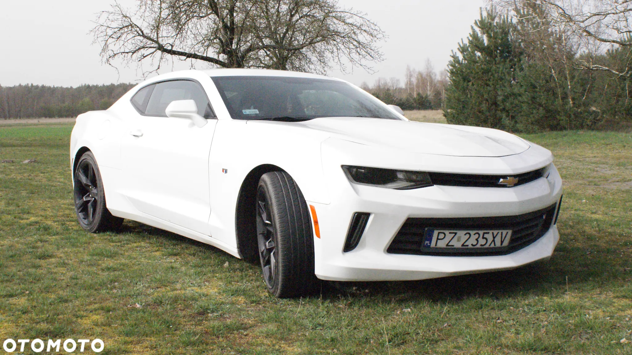 Chevrolet Camaro Coupe 2.0 - 17