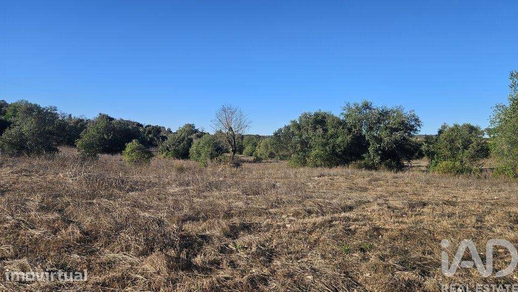 Terreno Agrícola em Santa Bárbara de Nexe - Grande imagem: 3/14