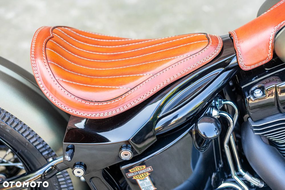 Harley-Davidson Softail Heritage Classic - 23