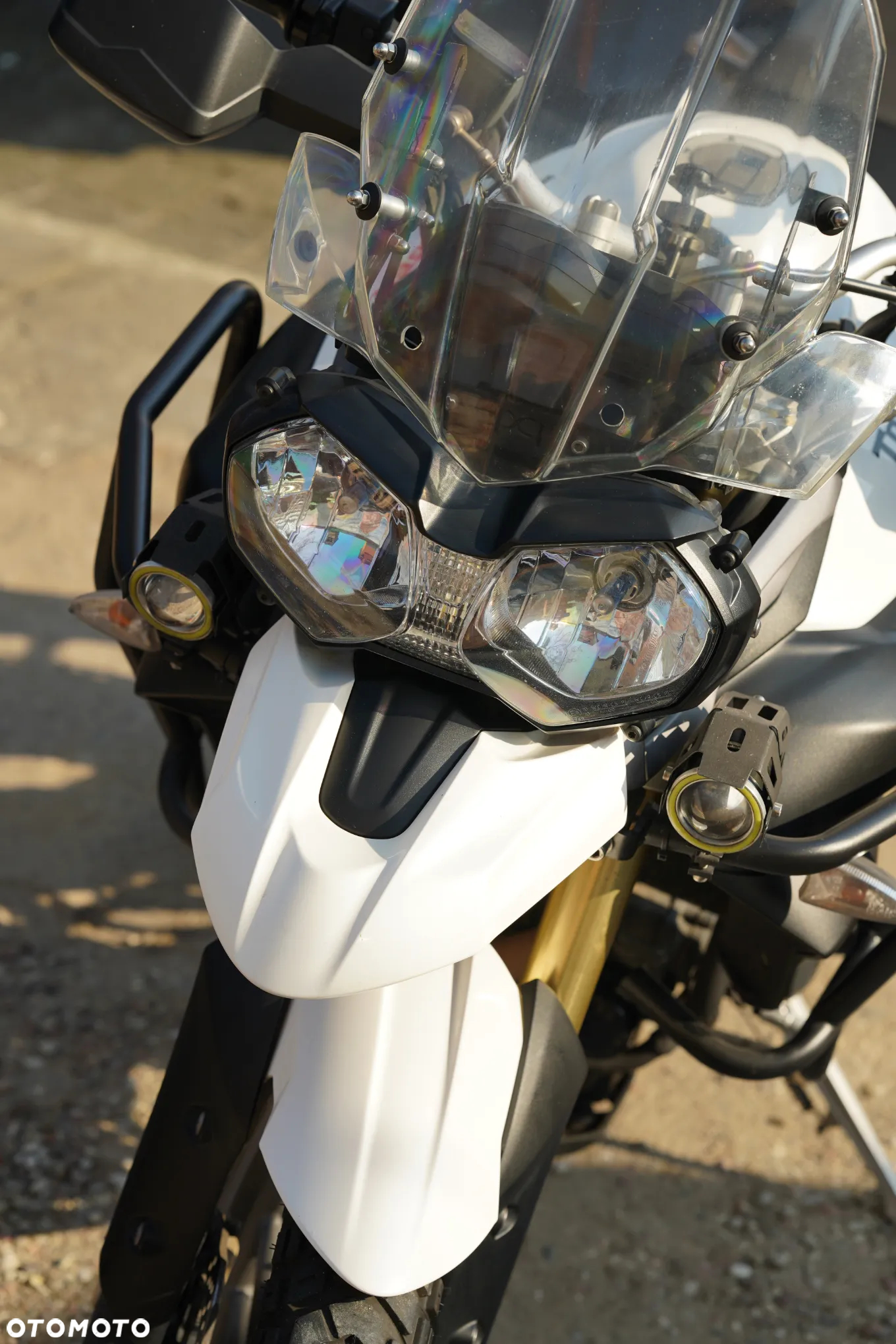 Triumph Tiger - 17