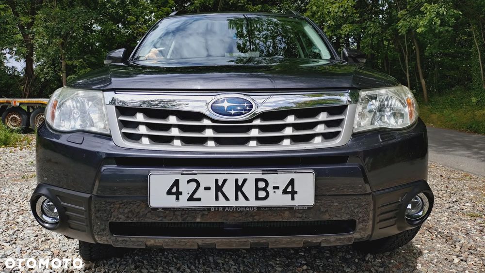 Subaru Forester 2.0X Automatik Exclusive - 19