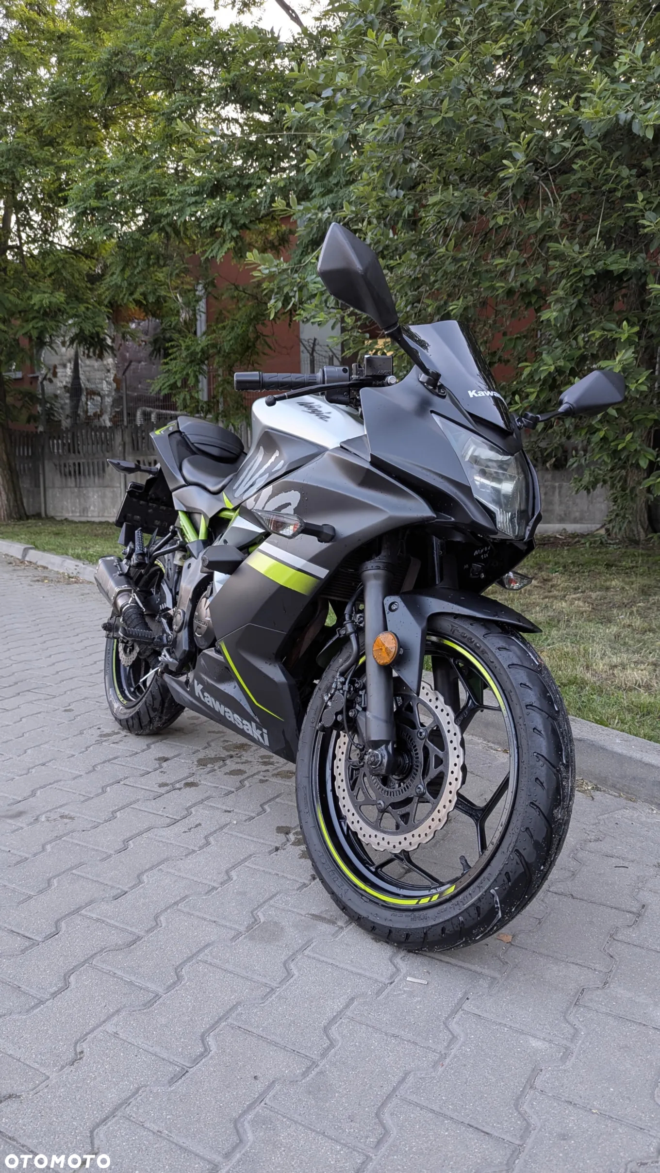 Kawasaki Ninja - 11
