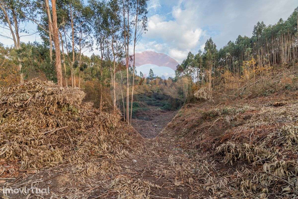 Terreno  para venda - Grande imagem: 3/9