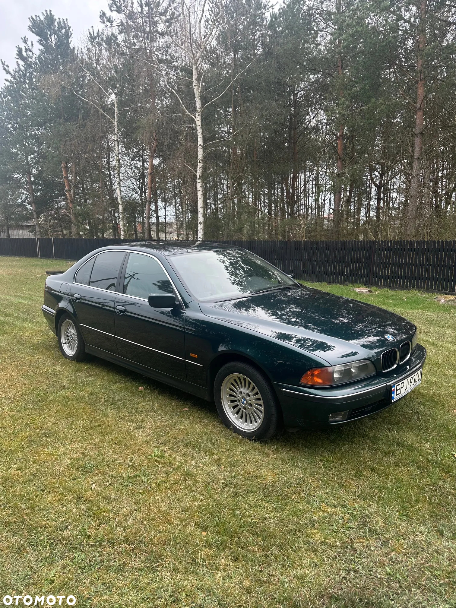 BMW Seria 5 - 4