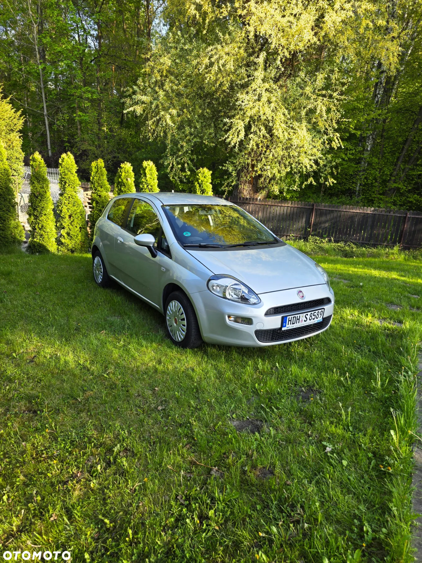 Fiat Punto - 10