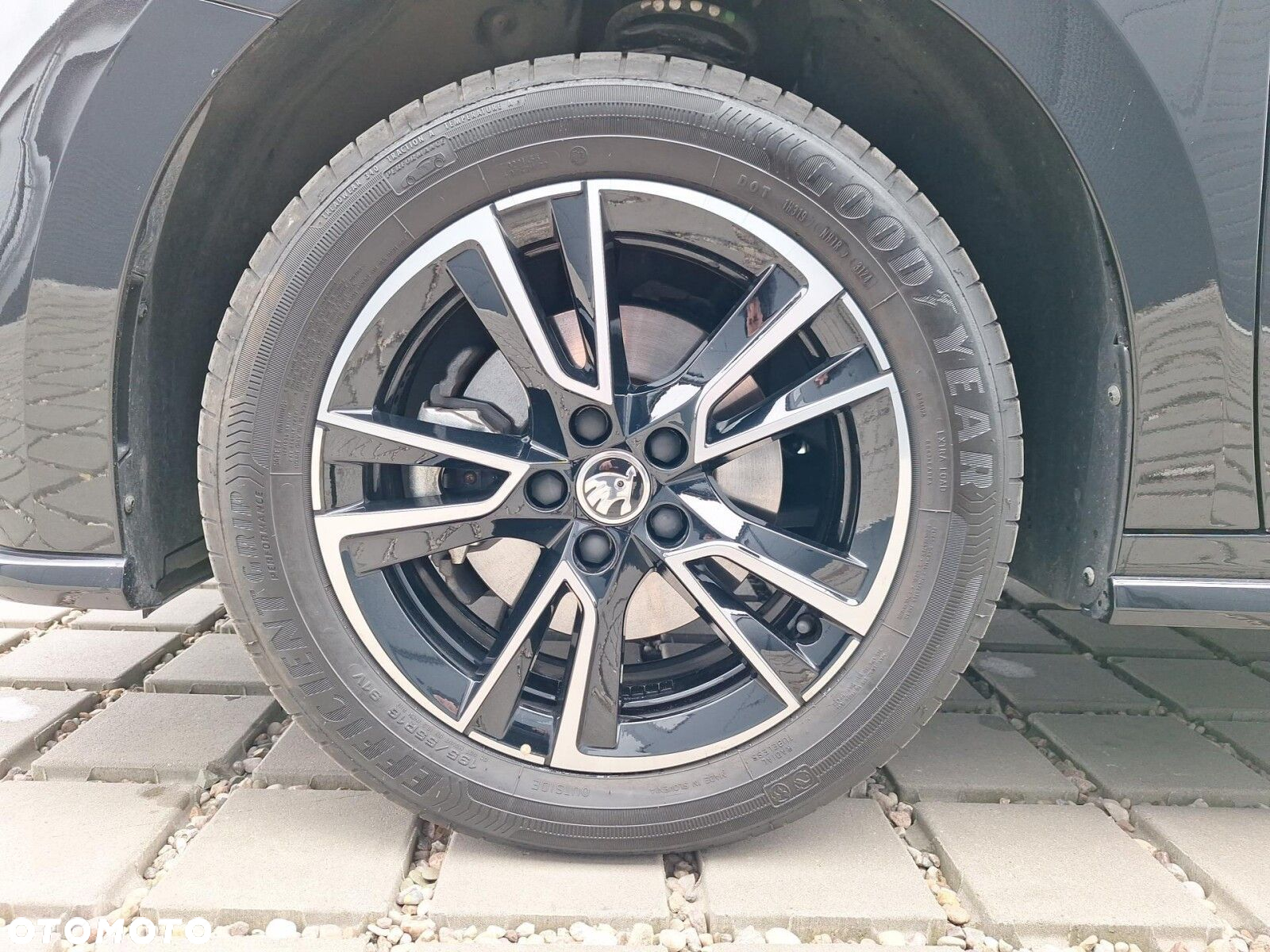 Skoda Fabia 1.0 TSI Monte Carlo DSG - 12