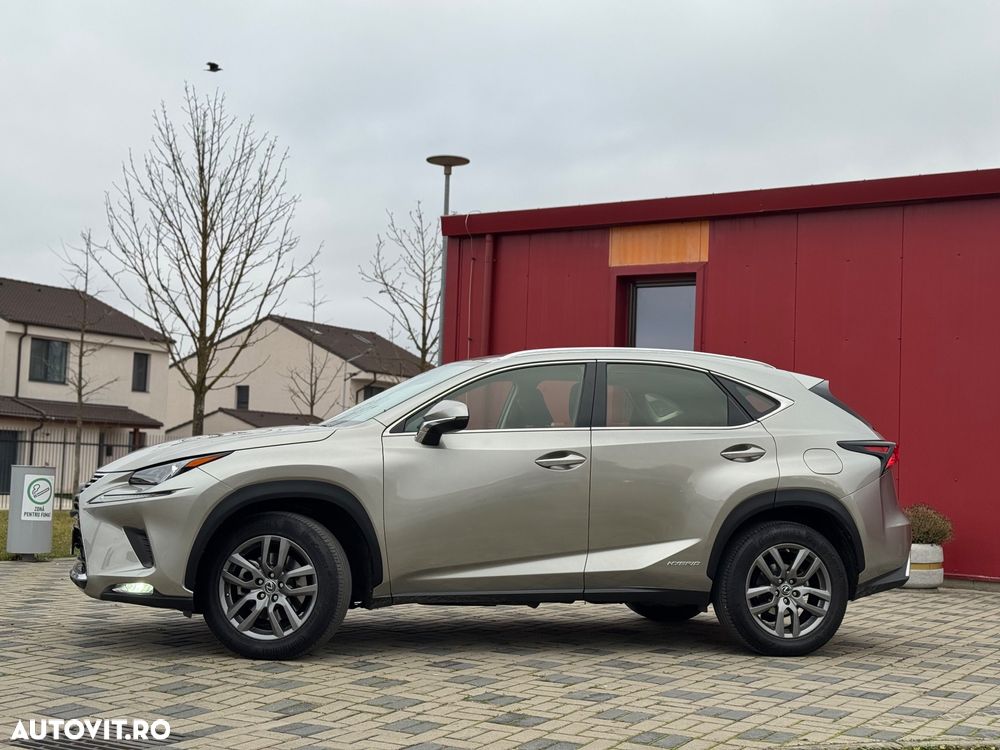 Lexus Seria NX 300h AWD Business Plus - 26