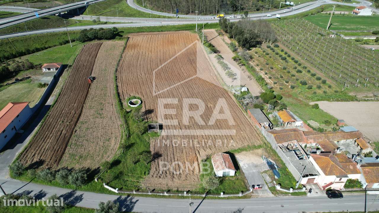 Terreno de 8184m2 em Louriçal, Pombal - Grande imagem: 3/6