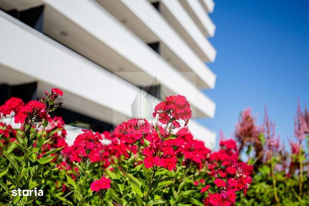 Apartament 2 camere | Direct de la Dezvoltator | Ansamblu Wings — fotografia 3