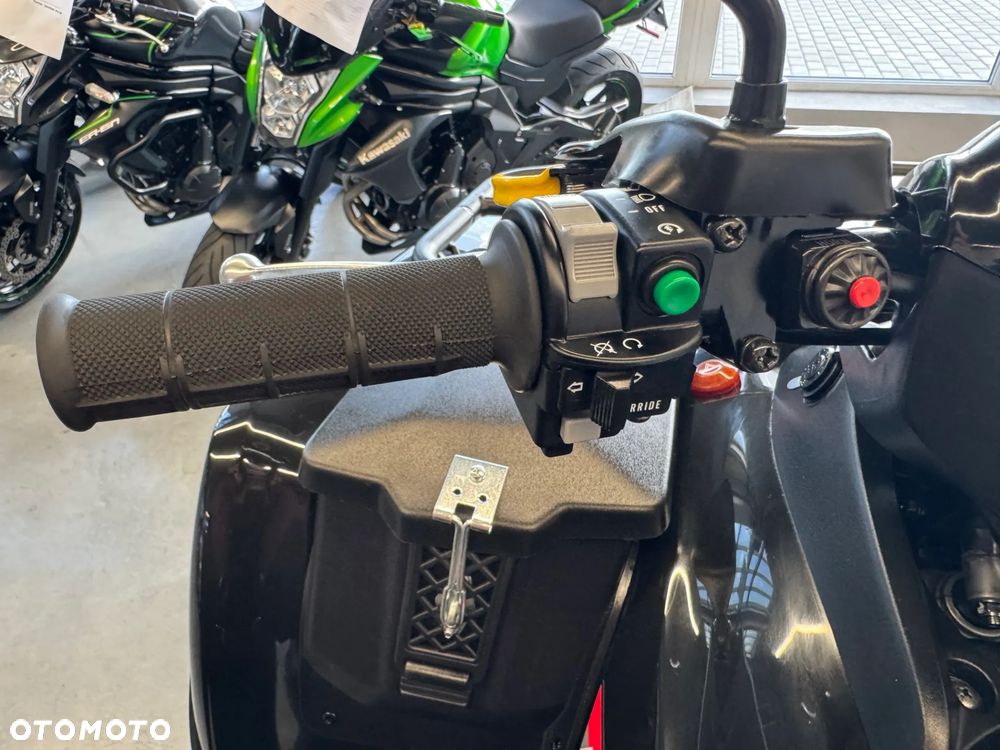Kawasaki Brute Force - 33