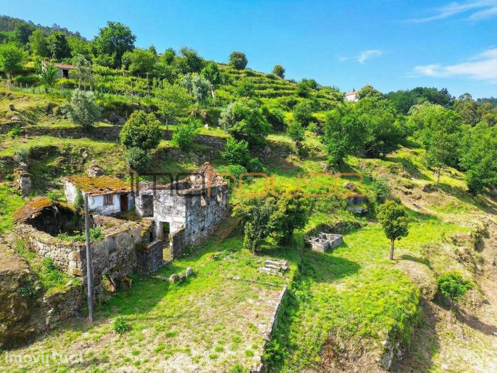 Quintinha com vista fabulosa para o Douro - Grande imagem: 5/33