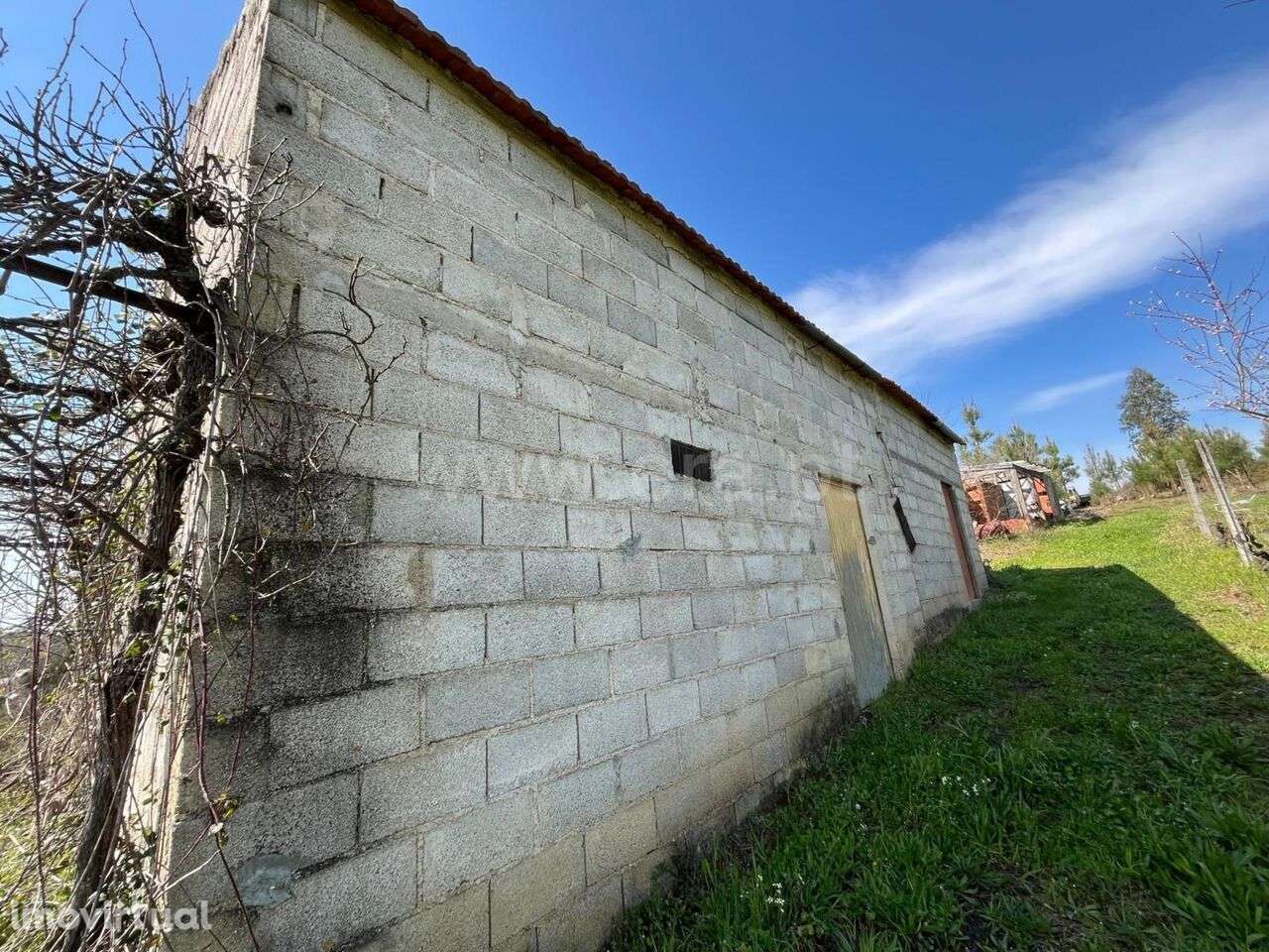 Terreno / Seia, Sameice e Santa Eulália - Grande imagem: 2/15