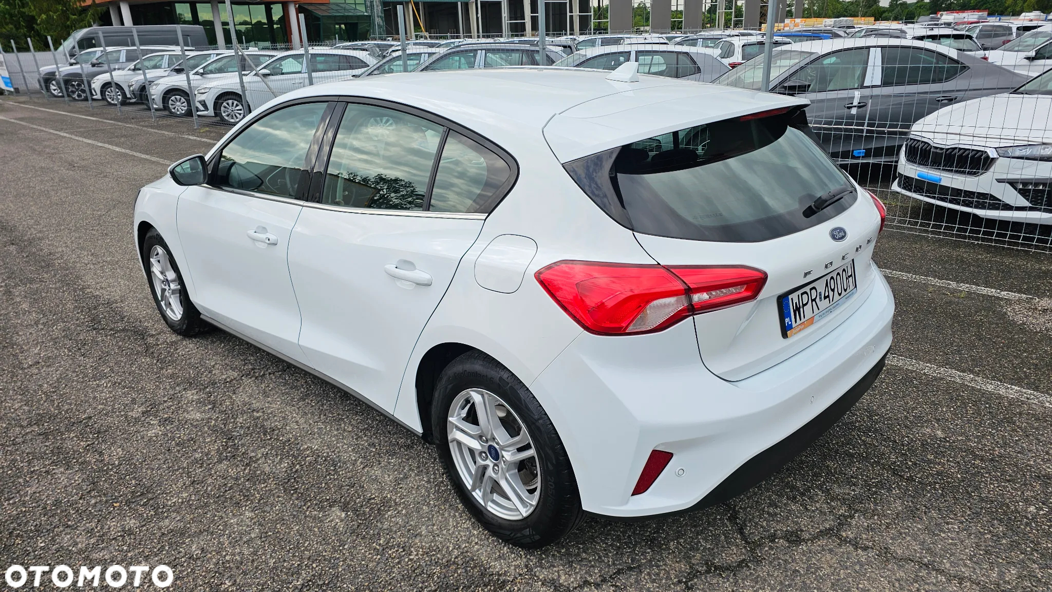 Ford Focus 1.5 EcoBlue Trend Edition Business - 3