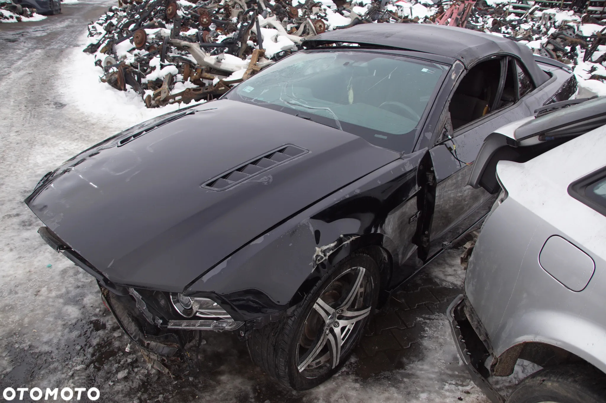 FORD MUSTANG 5.0 450KM 2014 CABRIO AUTO NA CZĘŚĆI 692324777 SKUP AUT MOTOCYKLI MASZYN ROLNICZYCH - 17
