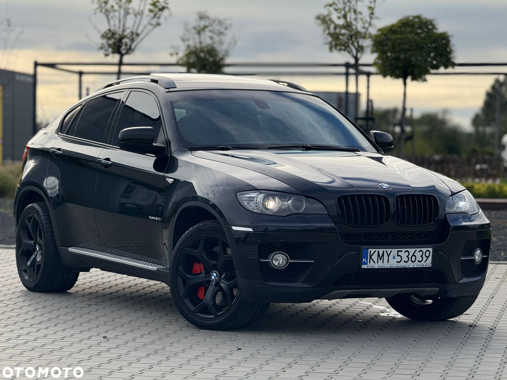 BMW X6 xDrive50i - 6