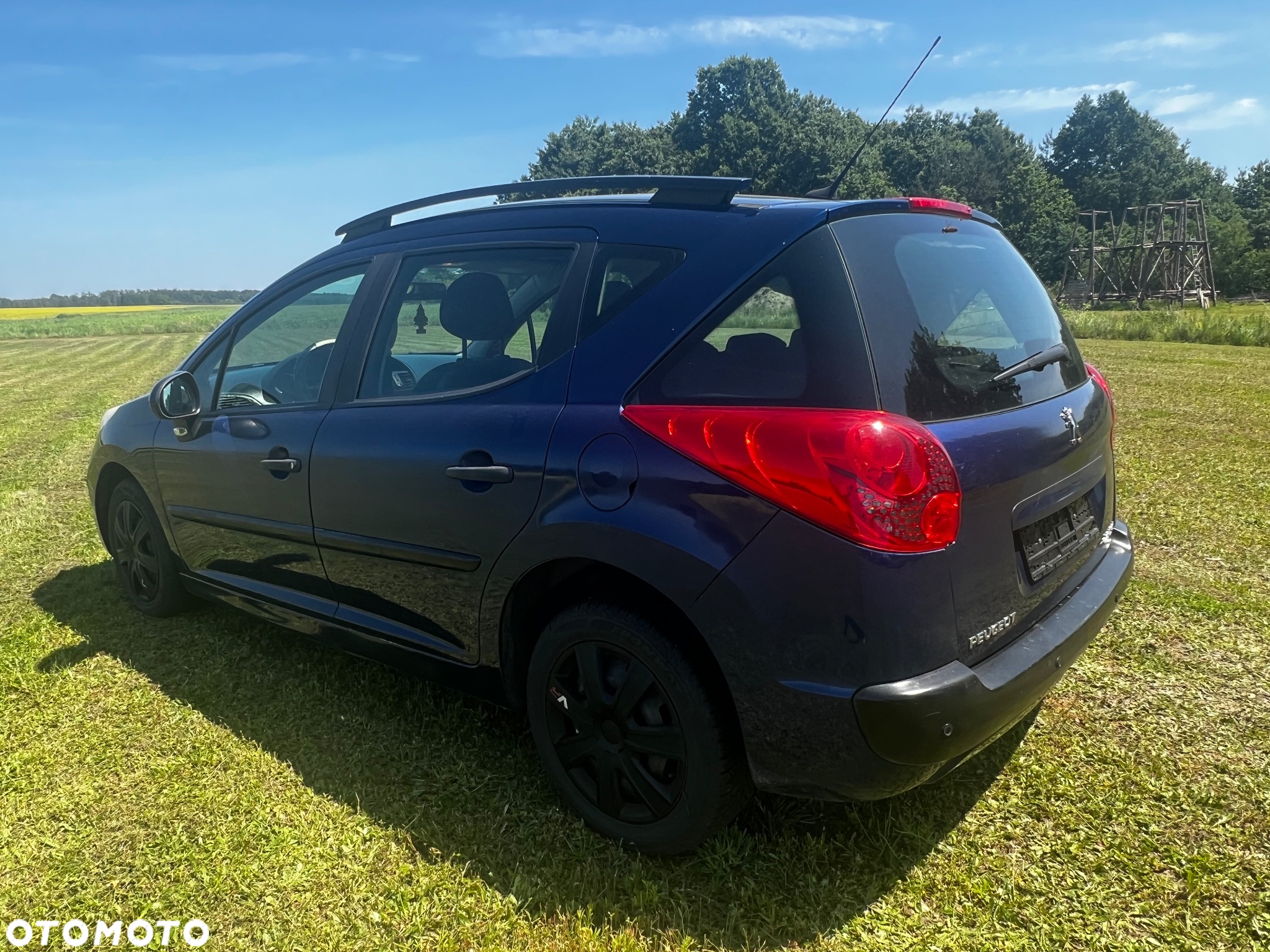 Peugeot 207 - 4