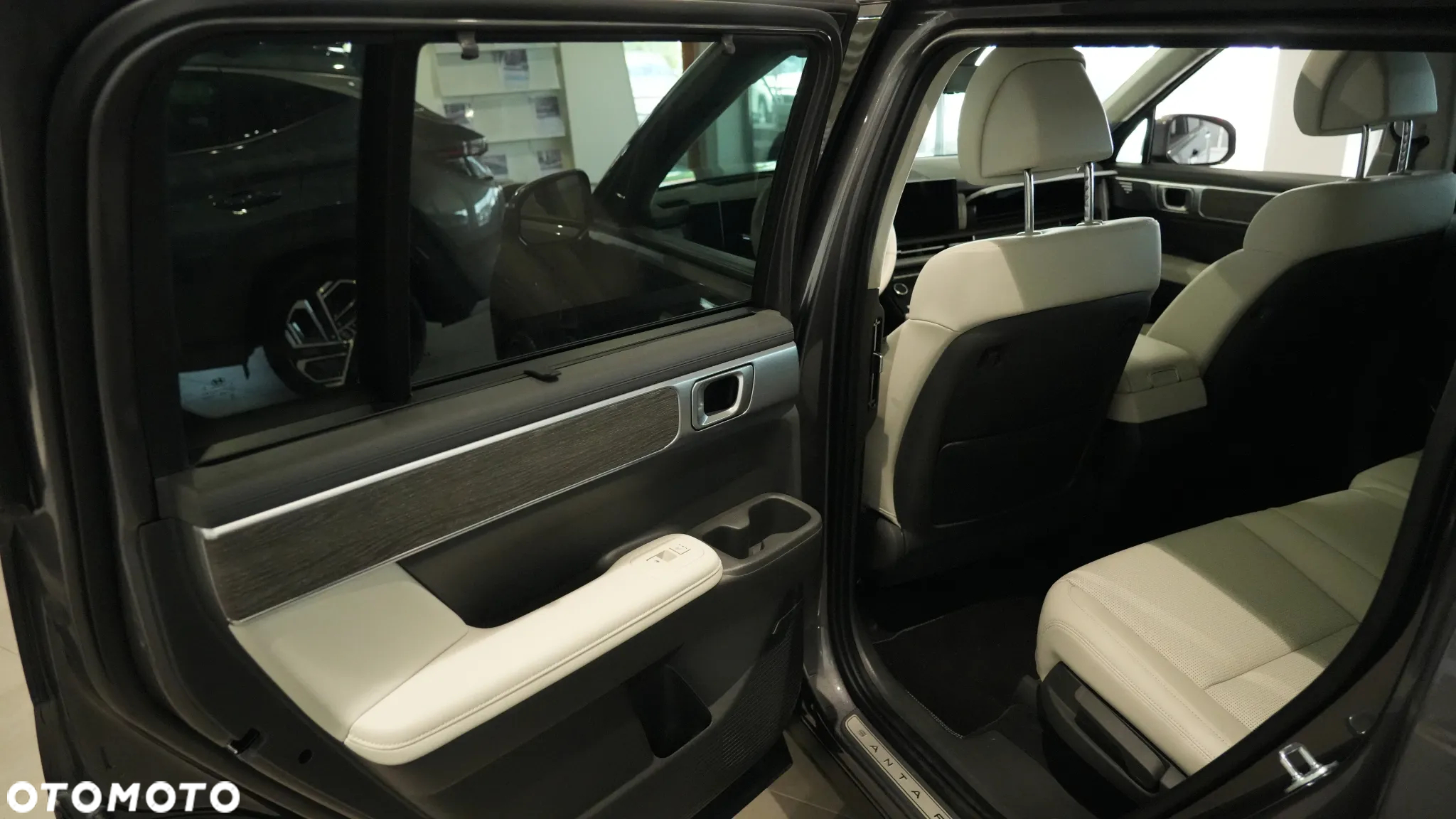 Hyundai Santa Fe - 8