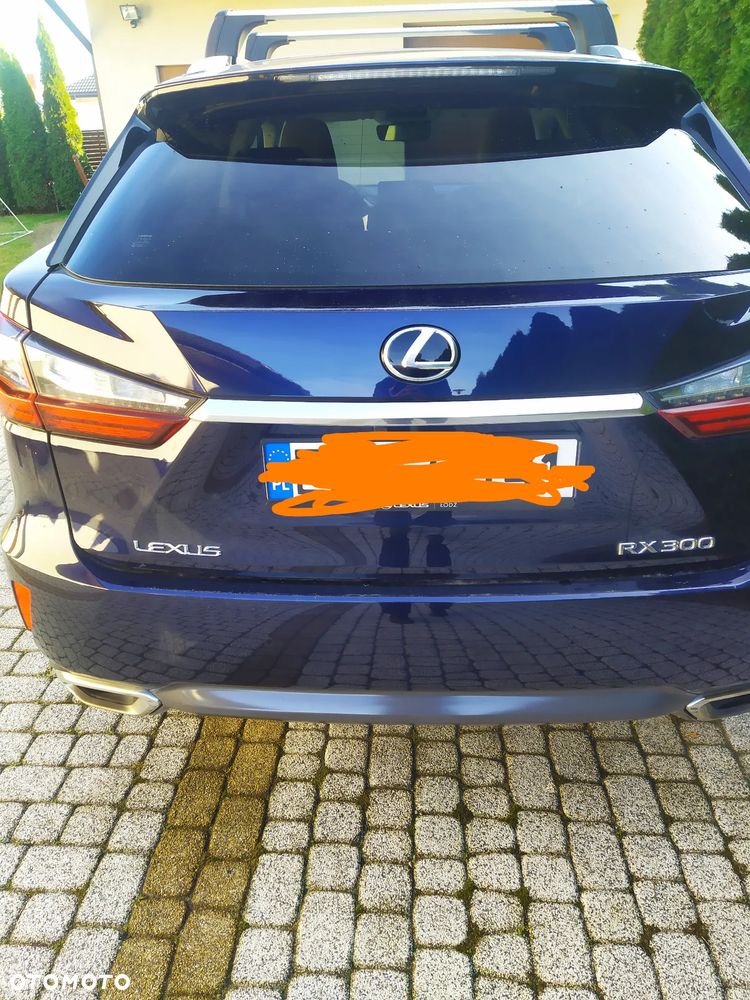 Lexus RX 200t / 300 Prestige MY19 - 3