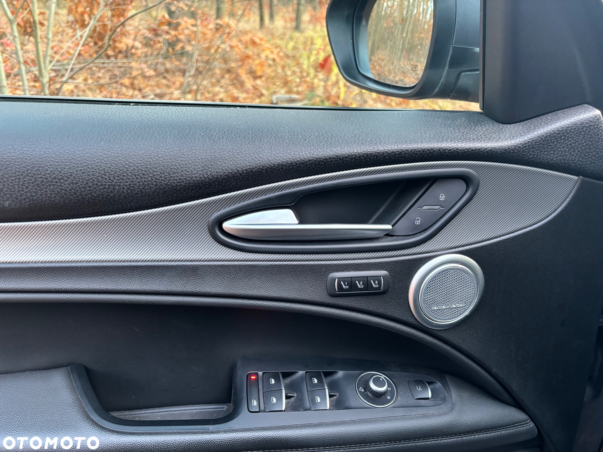Alfa Romeo Stelvio 2.0 Turbo Super Q4 - 8