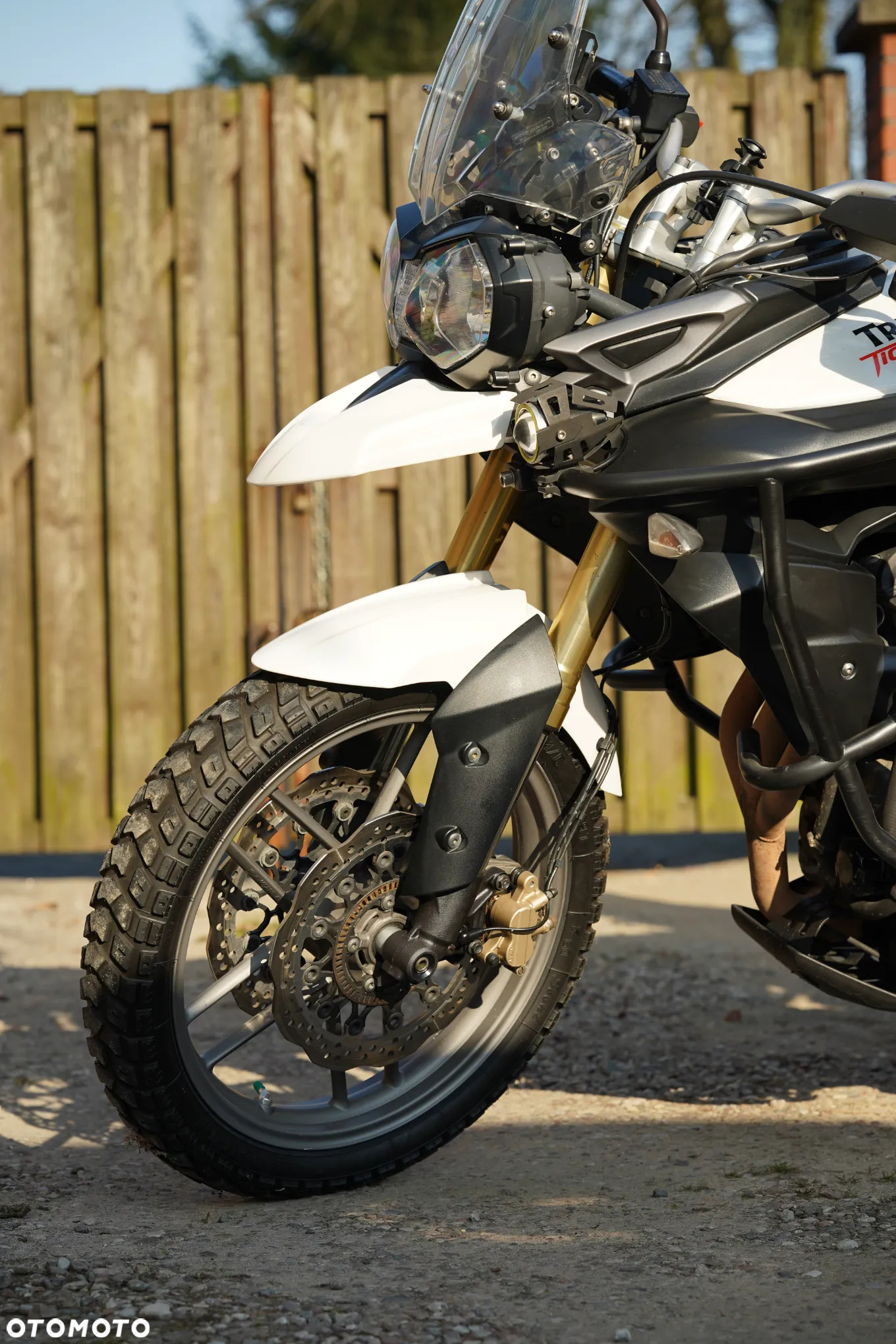 Triumph Tiger - 11