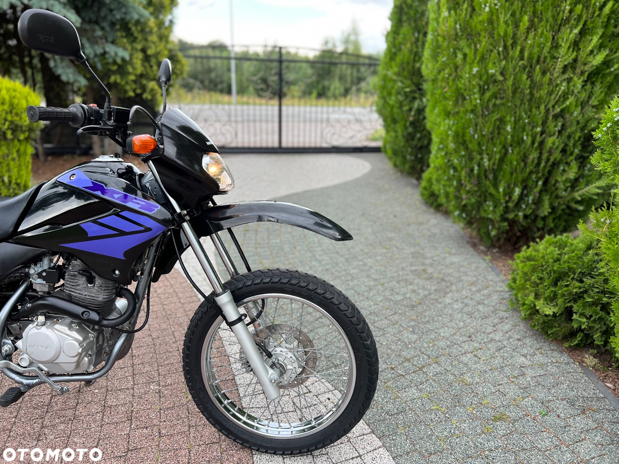 Honda XR - 6