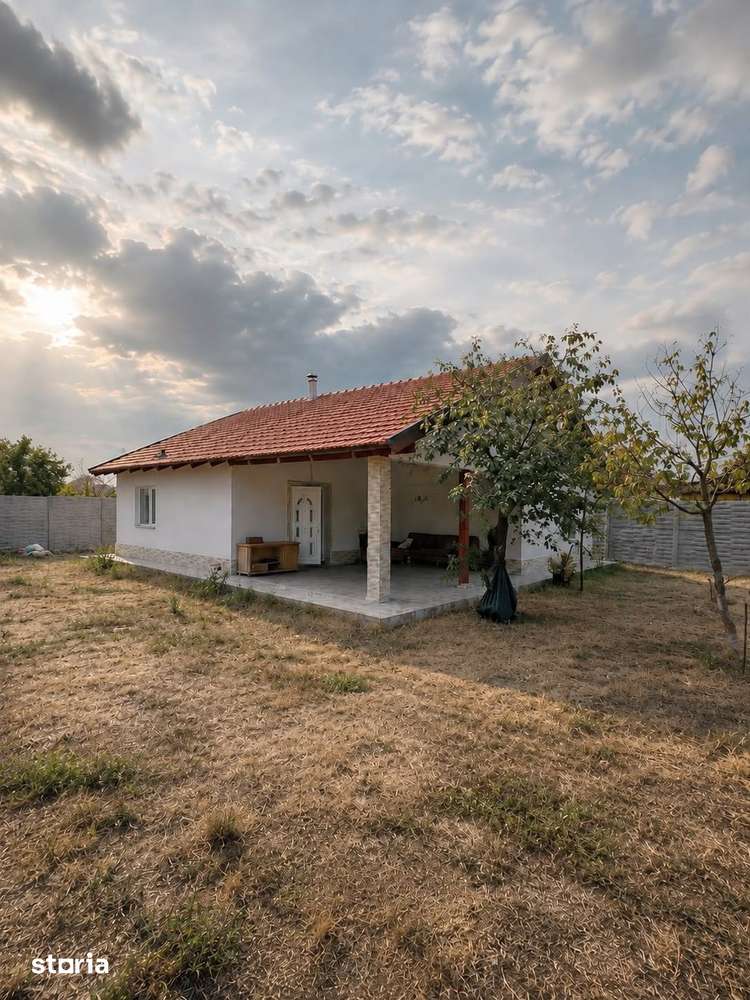 Casa renovata anul trecut cu 1100 mp de teren in localitatea Les