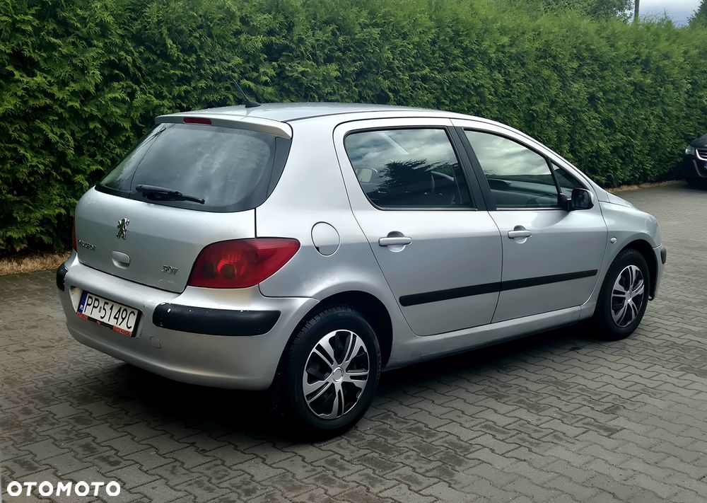 Peugeot 307 - 3