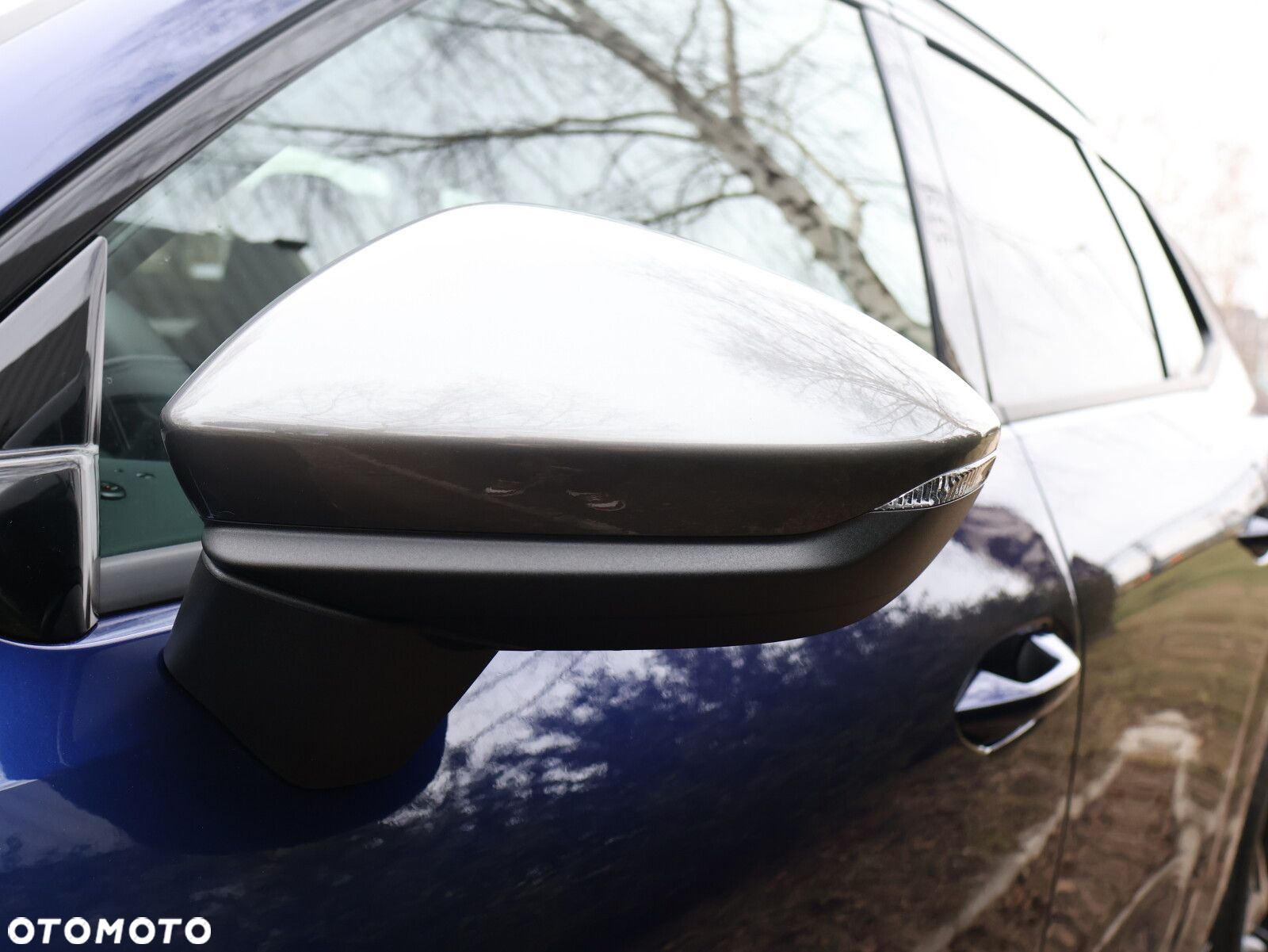 Cupra Terramar 1.5 eTSI mHEV DSG - 5