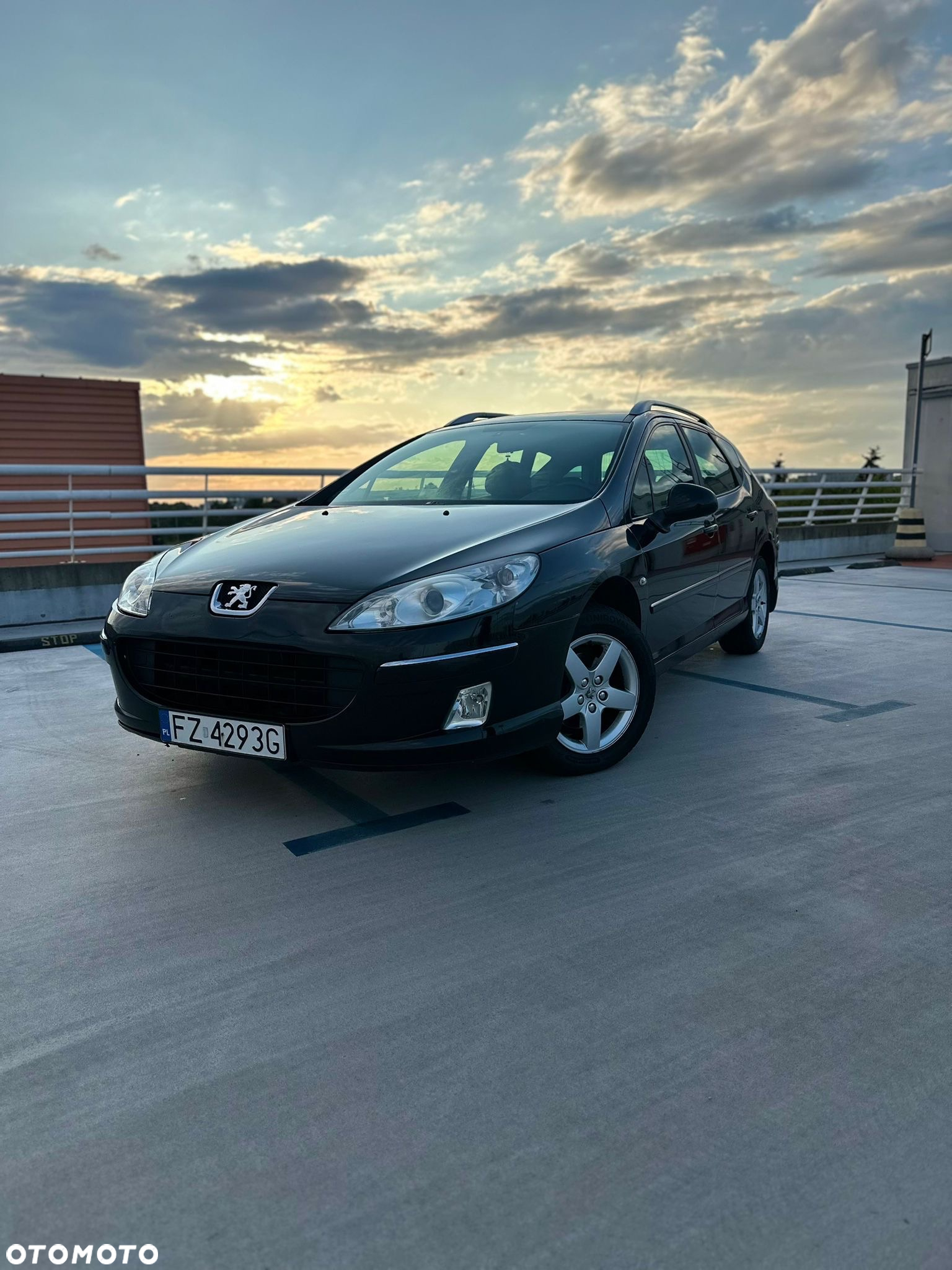 Peugeot 407 - 21