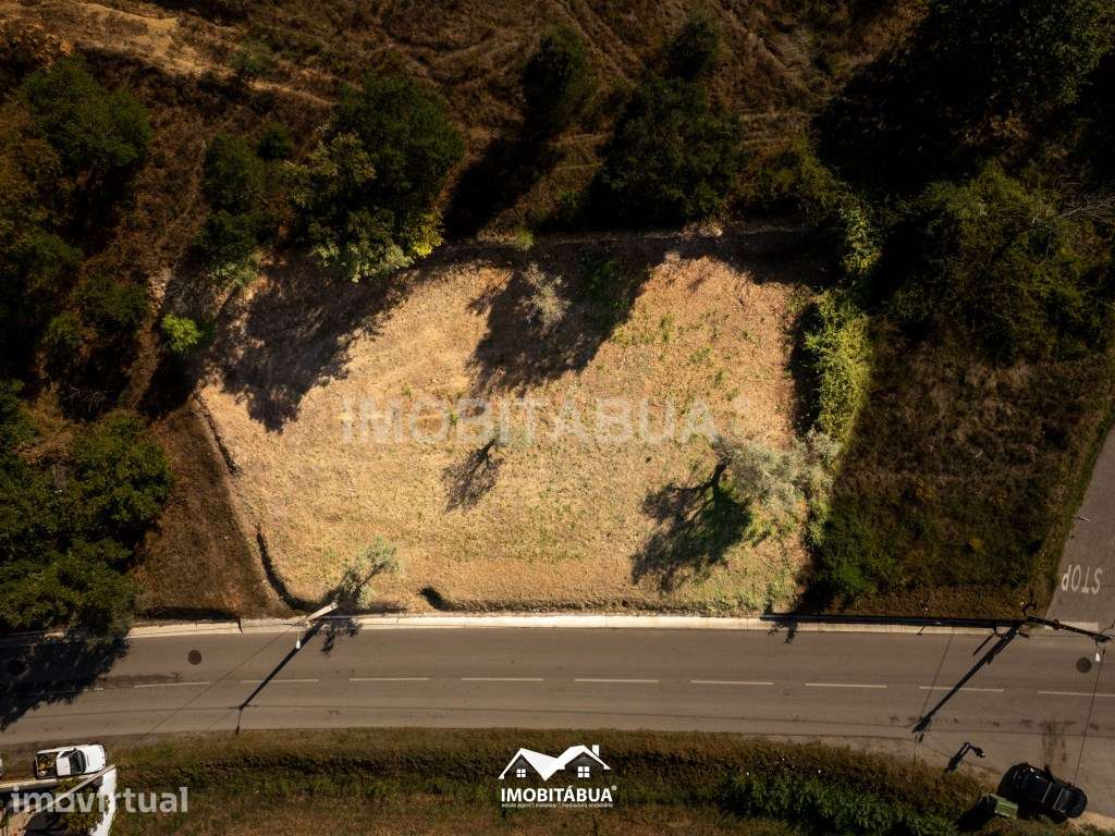 Terreno rústico em Secarias junto à Estrada Principal - Grande imagem: 3/7