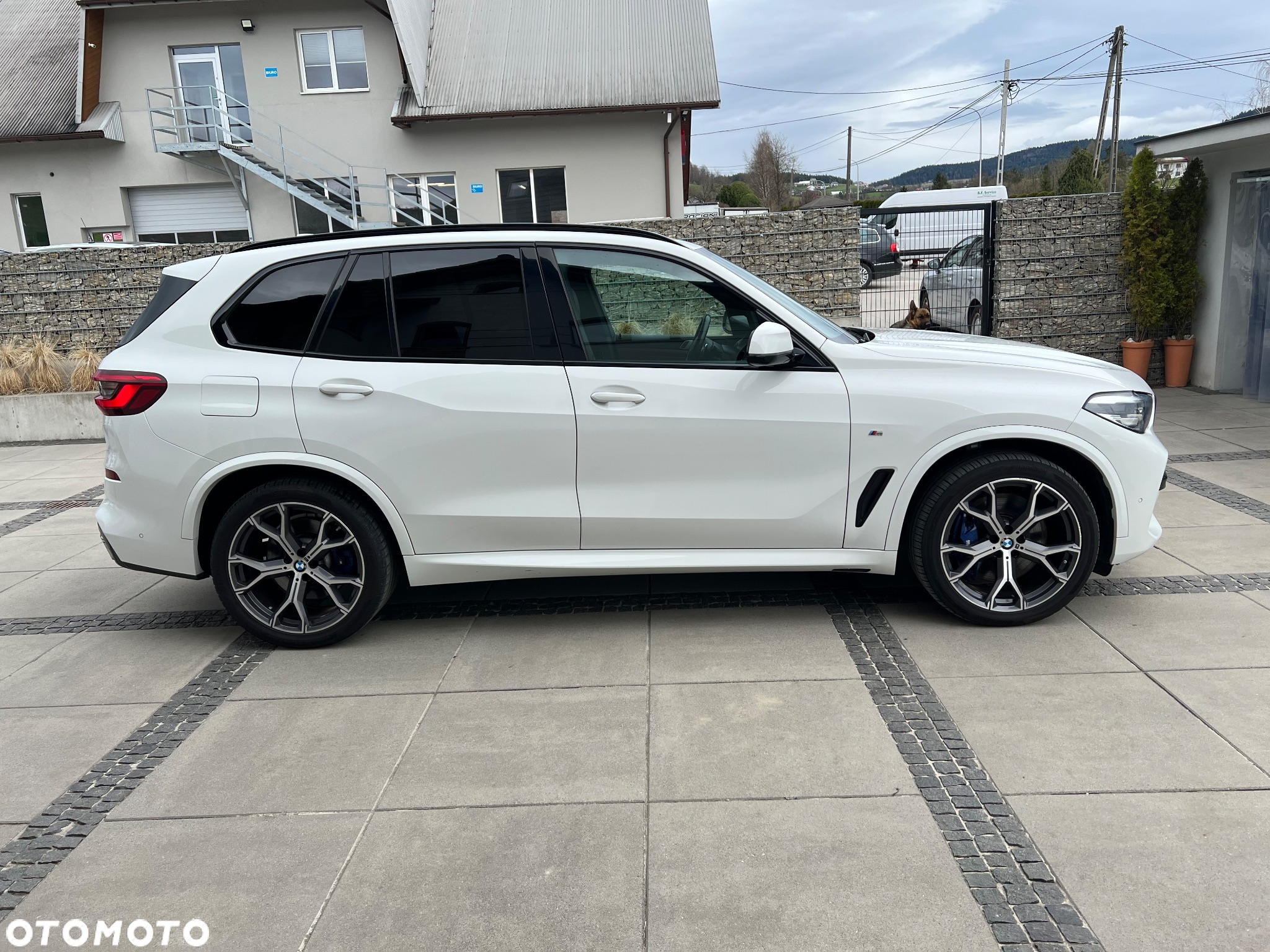 BMW X5 xDrive30d sport - 4