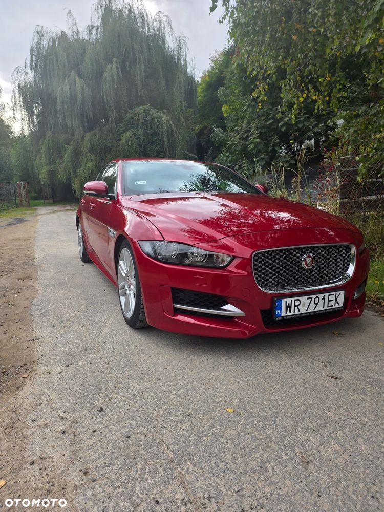 Jaguar XE E-Performance R-Sport - 1