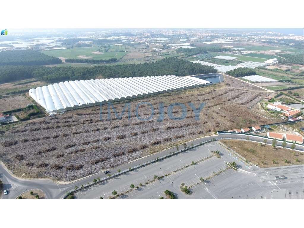 Terreno-projeto de Residência Sénior de elevada qualidade - Grande imagem: 3/16