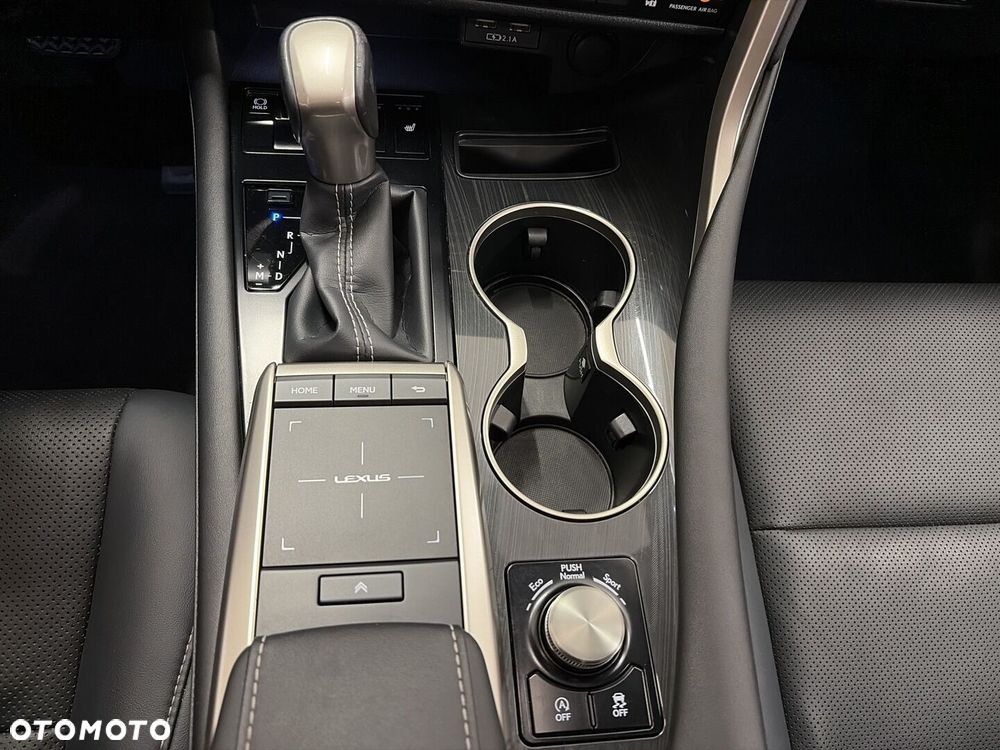 Lexus RX 300 Elegance - 21