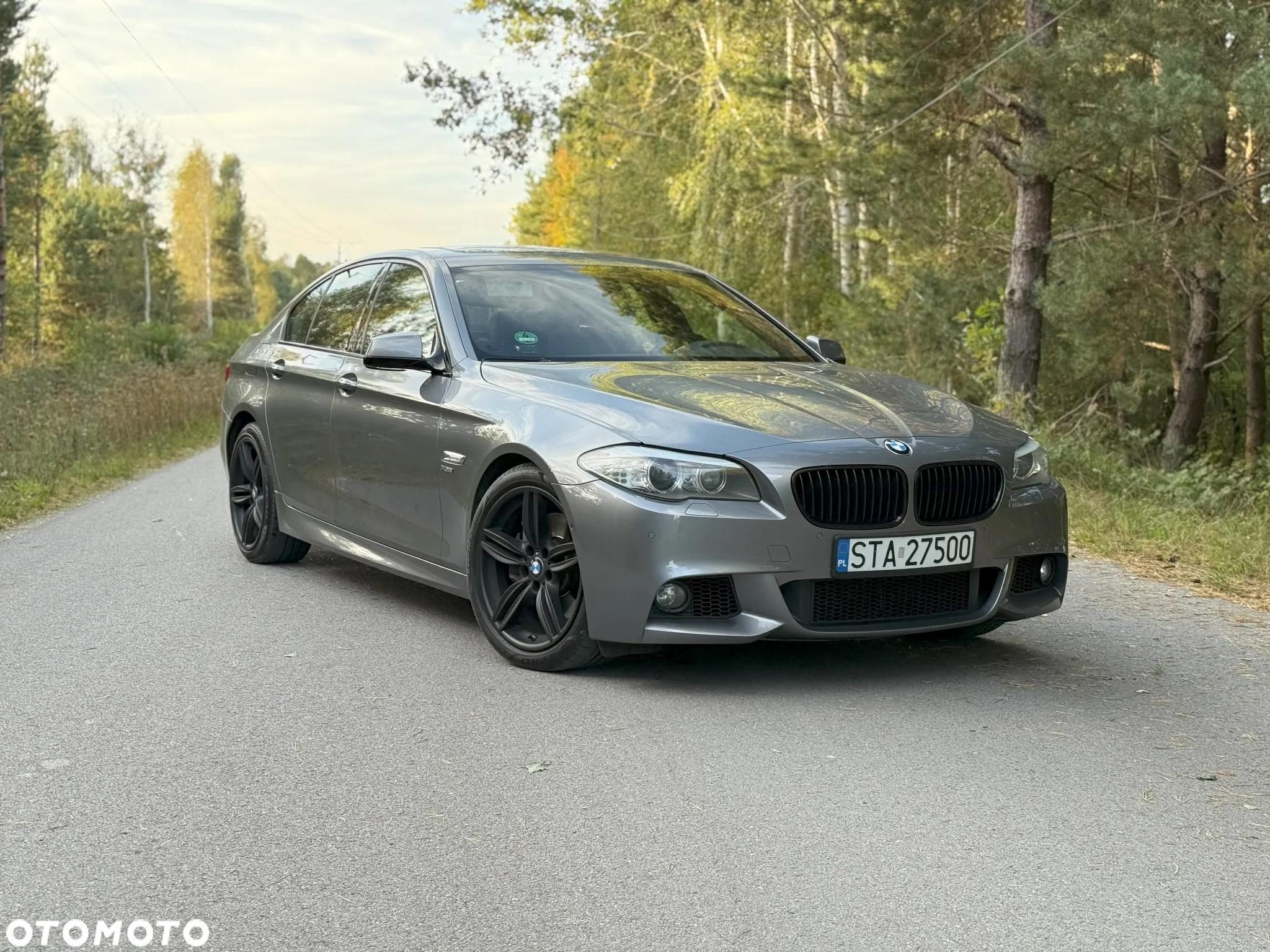 BMW Seria 5 550i - 2