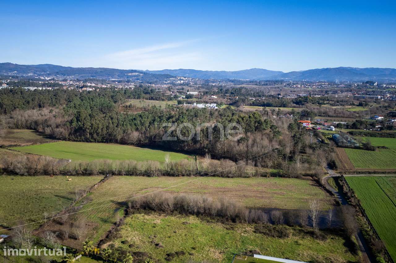 Terreno - Agrícola - Grande imagem: 5/16
